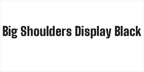 Big Shoulders Display Black Logo