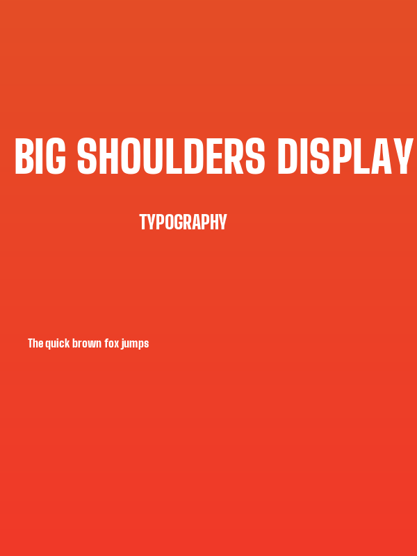 Big Shoulders Display Black Poster