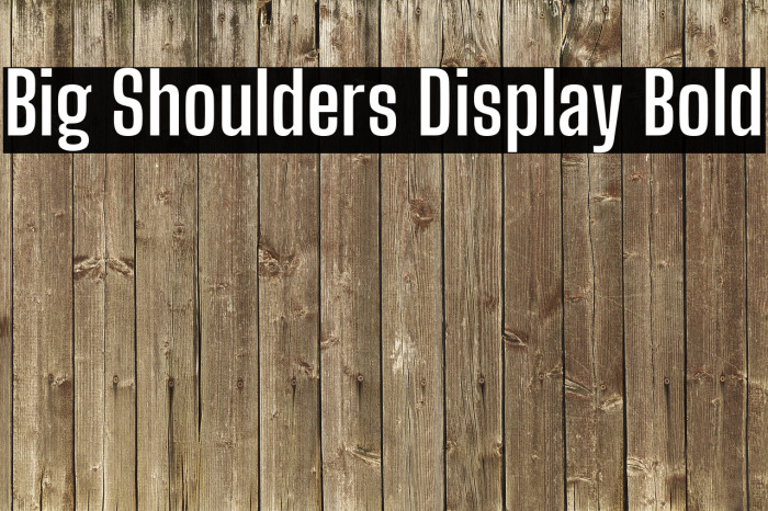 Big Shoulders Display Bold Fuentes examples