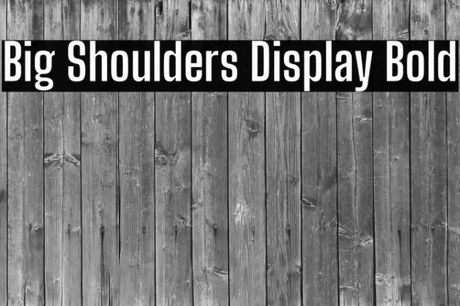 Big Shoulders Display Bold Fuentes examples