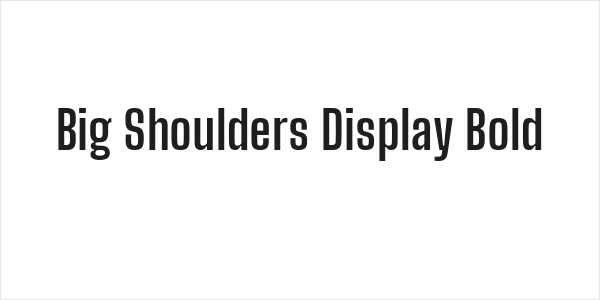 Big Shoulders Display Bold Logo