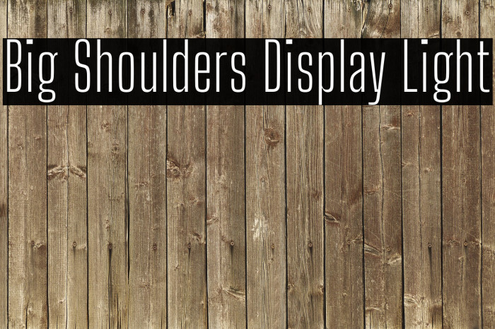 Big Shoulders Display Light Fuentes examples