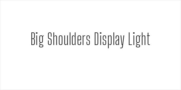 Big Shoulders Display Light Logo