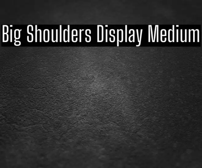 Big Shoulders Display Medium Font examples