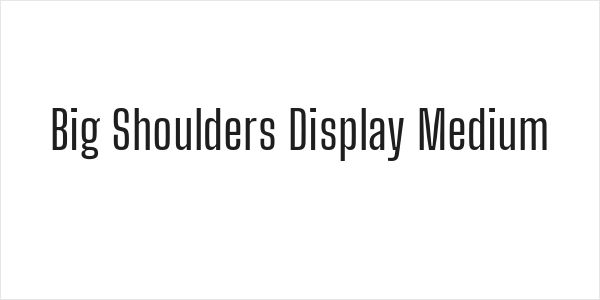 Big Shoulders Display Medium Logo