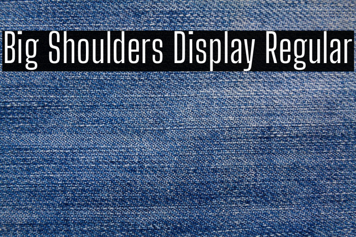 Big Shoulders Display Regular Font examples