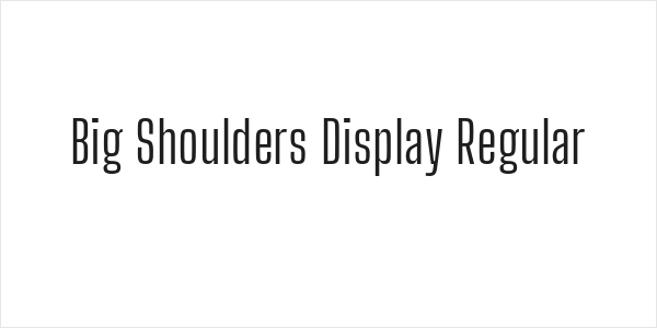 Big Shoulders Display Regular Logo
