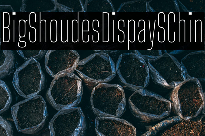 Big Shoulders Display SC Thin Example 1