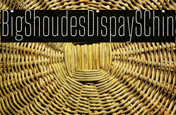 Big Shoulders Display SC Thin Example 3