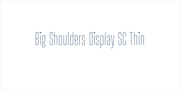 Big Shoulders Display SC Thin Logo