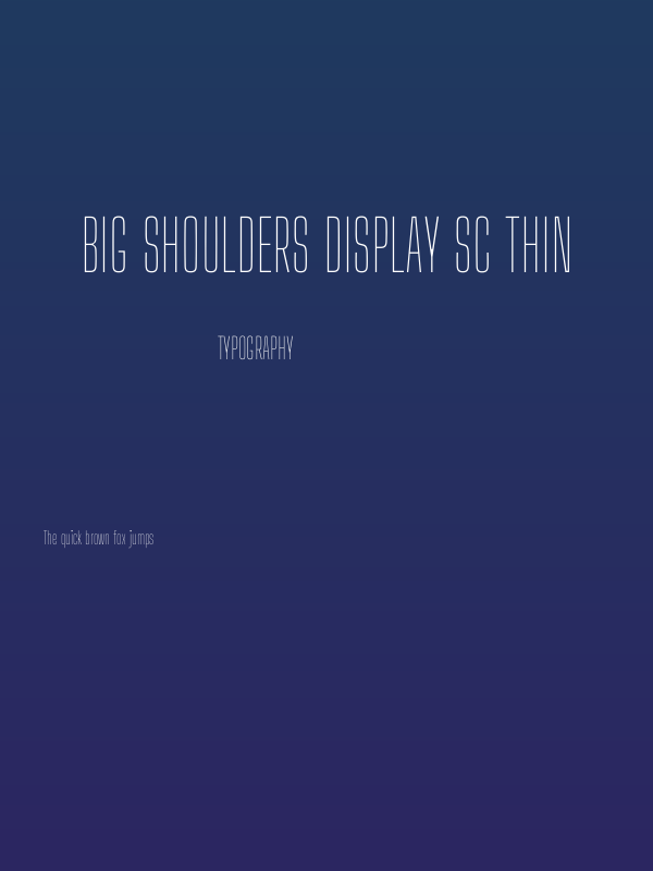 Big Shoulders Display SC Thin Poster