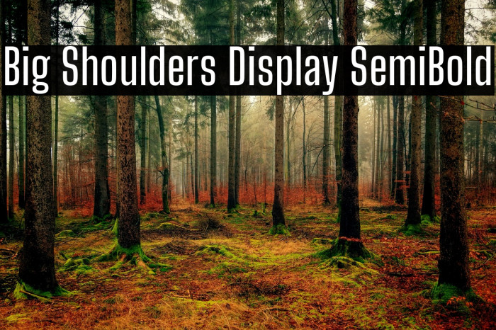 Big Shoulders Display SemiBold Font examples
