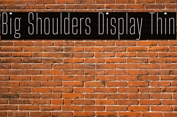 Big Shoulders Display Thin Font examples