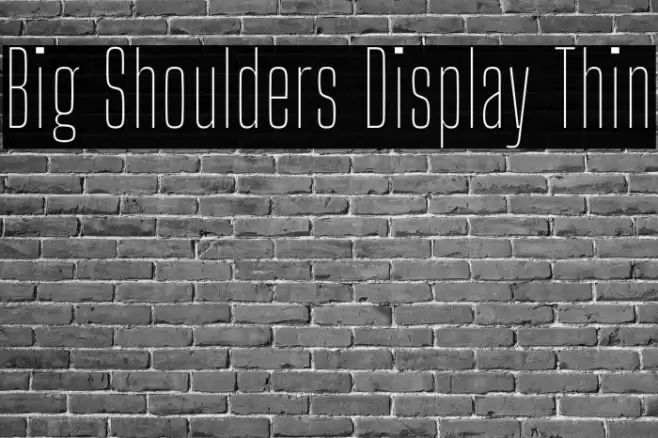Big Shoulders Display Thin Font examples