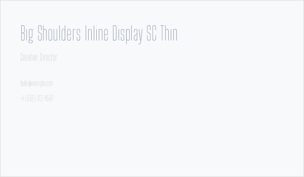 Big Shoulders Inline Display SC Thin Business Card