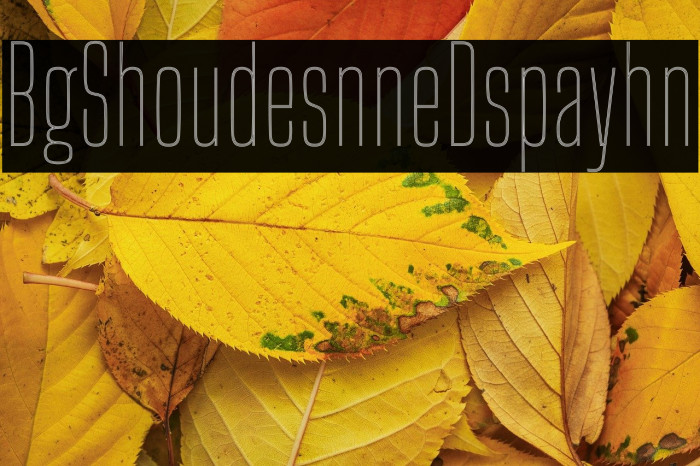 Big Shoulders Inline Display Thin Example 2