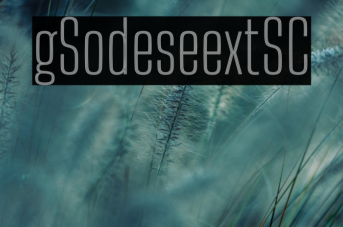 Big Shoulders Inline Text SC Thin Example 2