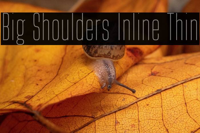 Big Shoulders Inline Thin 字体 examples