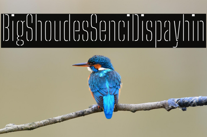 Big Shoulders Stencil Display Thin Example 2