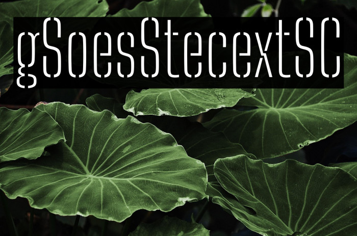 Big Shoulders Stencil Text SC Thin Example 1