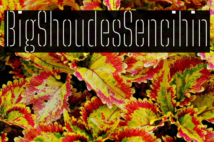 Big Shoulders Stencil Thin Example 2