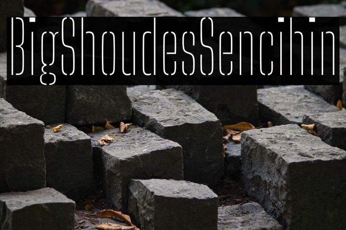 Big Shoulders Stencil Thin Example 3