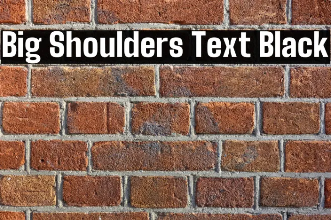 Big Shoulders Text Black Example 1