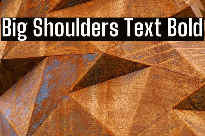 Big Shoulders Text Bold Font examples