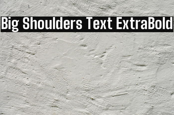 Big Shoulders Text ExtraBold Font examples