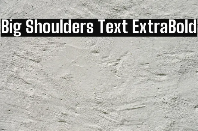 Big Shoulders Text ExtraBold Example 1