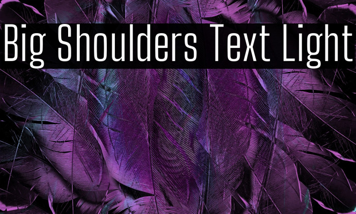 Big Shoulders Text Light Font examples