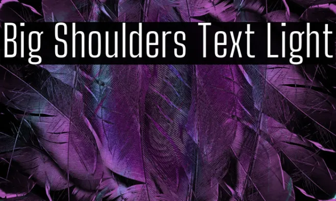Big Shoulders Text Light Example 1