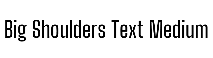 Big Shoulders Text Medium  Free Fonts Download