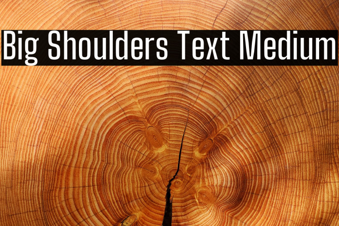 Big Shoulders Text Medium Font examples