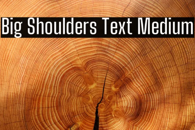 Big Shoulders Text Medium Example 1
