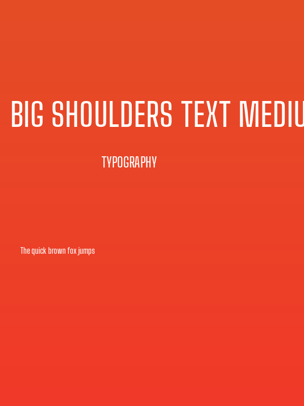 Big Shoulders Text Medium Poster