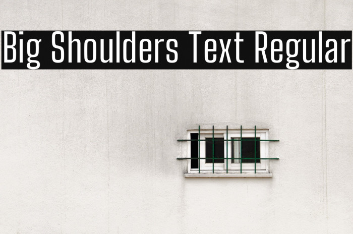 Big Shoulders Text Regular Font examples