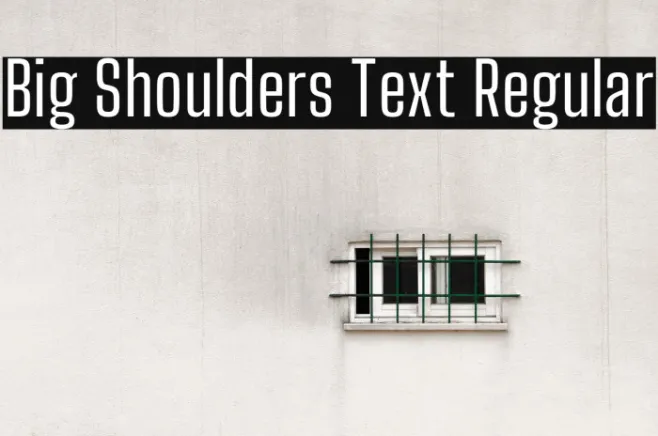 Big Shoulders Text Regular Example 1