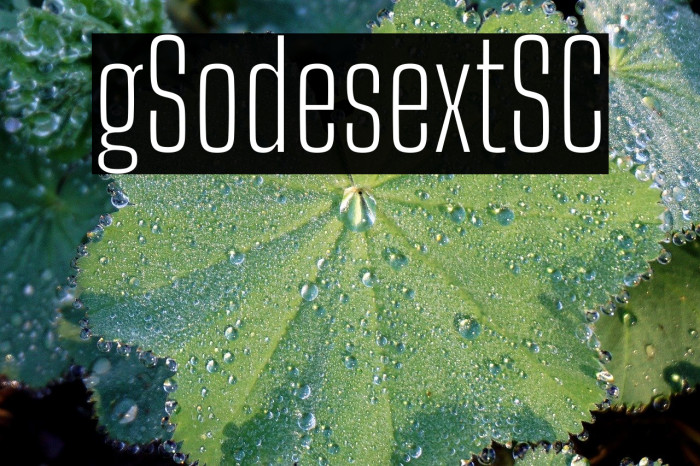 Big Shoulders Text SC Thin Example 1