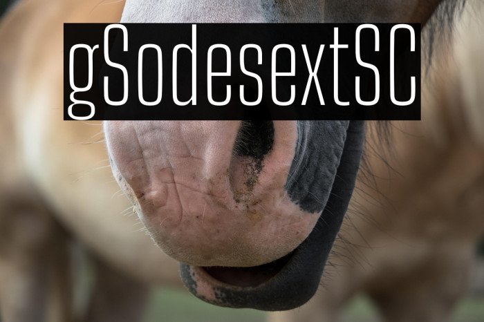 Big Shoulders Text SC Thin Example 3