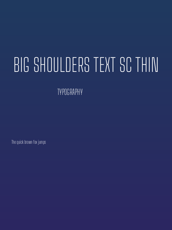 Big Shoulders Text SC Thin Poster