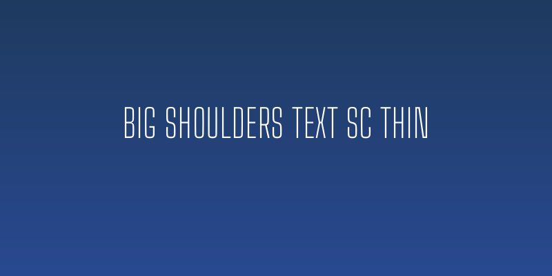 Big Shoulders Text SC Thin Social Header