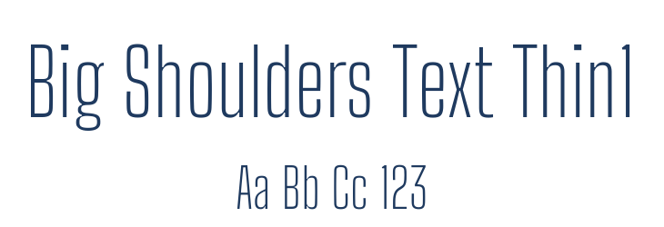 Big Shoulders Text Thin1 Font Preview