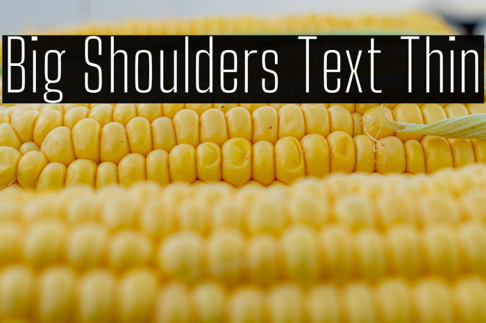 Big Shoulders Text Thin Font examples