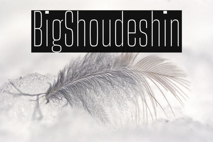 Big Shoulders Thin Example 2