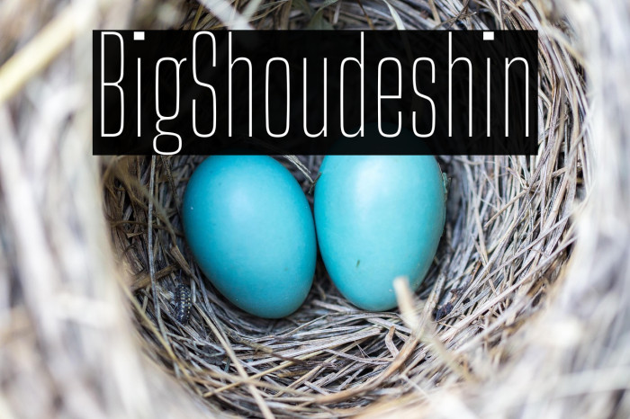 Big Shoulders Thin Example 3