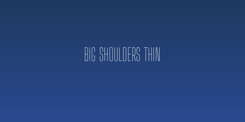 Big Shoulders Thin Social Header