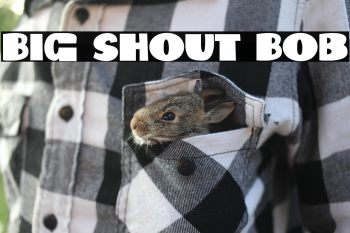 Big Shout Bob Example 2