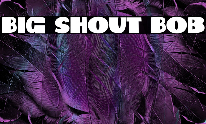 Big Shout Bob Example 3