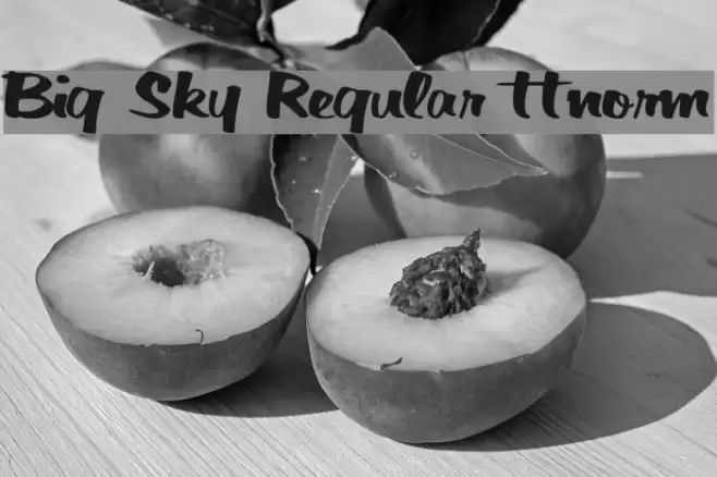 Big Sky Regular ttnorm Font examples